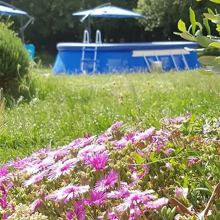 Apartman Roberta *