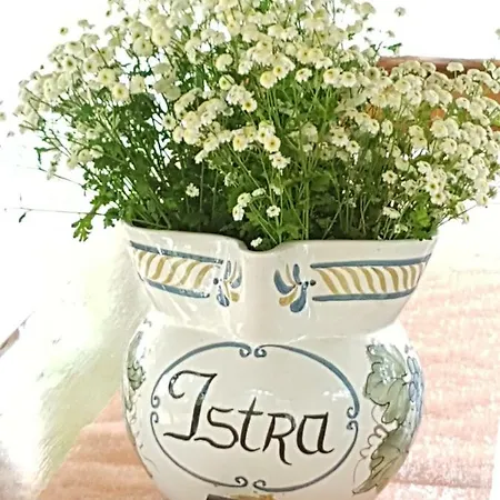 Apartman Roberta *